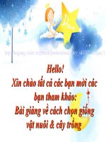 thực hành tìm hiểu thực tiễn chọn giống vật nuôi cây trồng