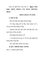 Giáo án nghề làm vườn lớp 12 - Bài 6: Thực hành: NHÂN GIỐNG CÂY BẰNG PHƯƠNG PHÁP NHÂN GIỐNG VÔ TÍNH ppt