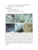 NUÔI THÂM CANH TÔM ĐẢM BẢO AN TOÀN VỆ SINH THỰC PHẨM THEO MÔ HÌNH GAqP part 5 pptx