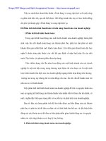 Thực trạng quản lý và sử dụng vốn cố định tại Cty vật liệu xây dựng và kinh doanh Đà Nẵng -3 potx