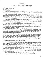 Giáo trình KỸ THUẬT NGUỘI - Chương 5 docx
