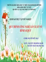QUY TRÌNH CÔNG NGHỆ SẢN XUẤT VỎ BÌNH ACQUY ppt