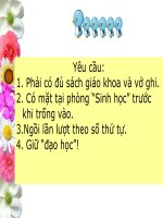 bài 1 gen, mã di truyền và quá trình nhân đôi adn