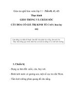Giáo án nghề làm vườn lớp 11 - Tiết:40, 41, 42: Thực hành GIEO TRỒNG VÀ CHĂM SÓC CÂY HOA CÓ GIÁ TRỊ KINH TẾ CAO ( hoa lay ơn) docx