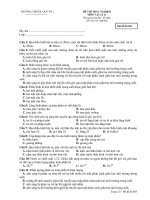 ĐỀ THI TRẮC NGHIỆM MÔN VẬT LÍ 11 - Mã đề thi 603 pps