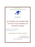Tác động của các biến vĩ mô: lãi suất, lạm phát, tỷ giá và giá vàng đến VNINDEX