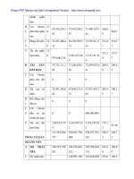 Kiến nghị nhằm nâng cao họa động kinh doanh xuất nhập khẩu tại Cty Vinatex Đà Nẵng - 6 pot