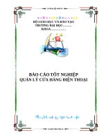 Báo cáo: quản lý cửa hàng điện thoại pdf