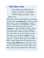 Giới thiệu cơ bản về excel pdf