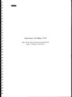 TổNG CôNG TY VIệT THắNG CTCP công ty con báo cáo tài chính riêng cho năm tài chính kết thúc ngày 31 tháng 12 năm 2011