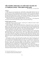 TỔN THƯƠNG VÕNG MẠC VÀ THẦN KINH THỊ pdf