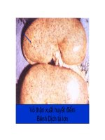 Bài giảng bệnh lý học thú y : Rối loạn tuần hoàn cục bộ part 5 doc