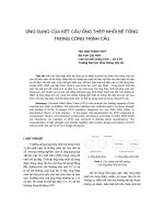 Ứng dụng của kết cấu ống thép nhồi bê tông trong công trình cầu