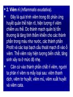 Bài giảng bệnh lý học thú y : Phân loại viêm part 2 pdf