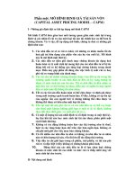 Phần một: MÔ HÌNH ĐỊNH GIÁ TÀI SẢN VỐN doc