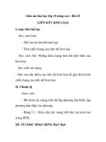 Giáo án hóa học lớp 10 nâng cao - Bài 23 LIÊN KẾT KIM LOẠI doc