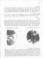 Giáo trinh giải phẫu bệnh thú y : Rối loạn tuần hoàn part 2 ppsx