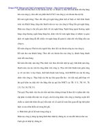 Hạch tóan thuế VAT tại Cty Điện máy - 3 pdf