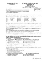 ĐỀ THI THỬ ĐẠI HỌC LẦN THỨ NHẤT NĂM HỌC 2010 - 2011 MÔN: Tiếng Anh - MÃ ĐỀ THI 209 pdf