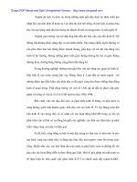 Vận dụng Mác Lenin phân tích quá trình chuyển sang Kinh tế thị trường ở Việt Nam - 2 pdf