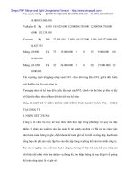 Tình hình và đề xuất kế tóan nguyên vật liệu dụng cụ tại Cty cao su - 6 potx