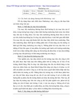 Chiến lược Marketing mix với việc mở rộng Thị trường Cty Kính Đáp Cầu - Bắc Ninh - p2 docx