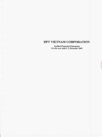 hpt vietnam corporation audited financial statements for the year ended 31 december 2009