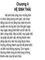 CHƯƠNG 4 - HỆ SINH THÁI pdf