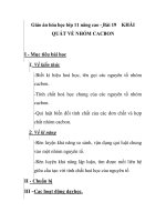 Giáo án hóa học lớp 11 nâng cao - Bài 19 QUÁT VỀ NHÓM CACBON KHÁI doc