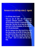 Thức ăn bổ sung cho vật nuôi : Thức ăn bổ sung mang tính chất chăn nuôi (phụ gia chăn nuôi) part 10 pptx