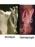 bài 20 sinh học 12 tạo giống bằng công nghệ gen