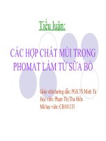 TIỂU LUẬN 