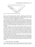 English in the Southern United States phần 6 pdf