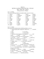 Đề thi thử đại học môn tiếng anh - đề số 26 ppsx