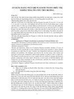 ÁP DỤNG BẢNG PHÂN ĐỘ WAGNER TRONG ĐIỀU TRỊ NHIỄM TRÙNG BÀN CHÂN TIỂU ĐƯỜNG pdf