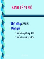 Giới thiệu môn học : Kinh tế vi mô pot