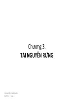 CHƯƠNG 3 - TÀI NGUYÊN RỪNG pptx