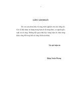 Phát triển khu kinh tế cửa khẩu biên giới phía Bắc Việt Nam trong điều kiện hội nhập kinh tế quốc tế