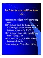 Thức ăn bổ sung cho vật nuôi : Thức ăn bổ sung mang tính chất chăn nuôi (phụ gia chăn nuôi) part 9 pot