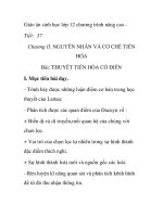 Giáo án sinh học lớp 12 chương trình nâng cao - Bài: THUYẾT TIẾN HÓA CỔ ĐIỂN ppt