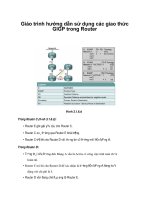 Giáo trình hướng dẫn sử dụng các giao thức GIGP trong Router phần 1 pptx