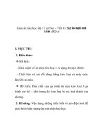 Giáo án hóa học lớp 12 cơ bản – Tiết 33: SỰ ĂN MỊN KIM LOẠI docx