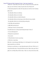 Hạch tóan nghiệp vụ tiêu thụ trong hoạt động kinh doanh xuất nhập khẩu - 2 potx