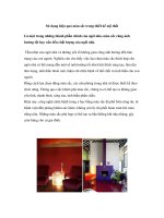 Sử dụng hiệu quả màu sắc trong thiết kế nội thất doc