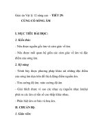 Giáo án Vật lý 12 nâng cao - TIẾT 29: CỦNG CỐ SÓNG ÂM pdf