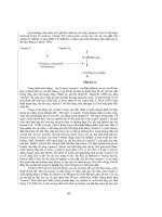 TRỨNG VÀ ẤP TRỨNG GIA CẦM part 9 pps