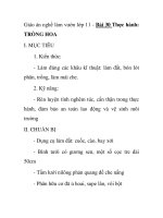 Giáo án nghề làm vườn lớp 11 - Bài 30 Thực hành: TRỒNG HOA docx