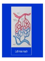 Bài giảng bệnh lý học thú y : Rối loạn tuần hoàn cục bộ part 2 pptx