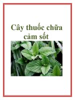 Cây thuốc chữa cảm sốt potx