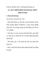Giáo án sinh học lớp 12 chương trình nâng cao - Bài: QUÁ TRÌNH HÌNH THÀNH ĐẶC ĐIỂM THÍCH NGHI pps